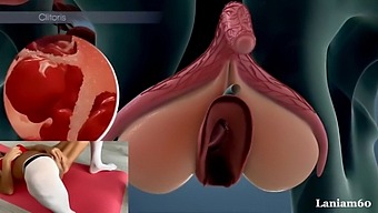 A Woman Achieves Orgasm Through Anatomy Exploration