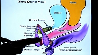 Second Lesson On Female Ejaculation For Beginners