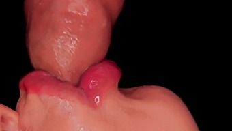 Amateur Blowjob With Oral And Milking: A Close-Up Experience